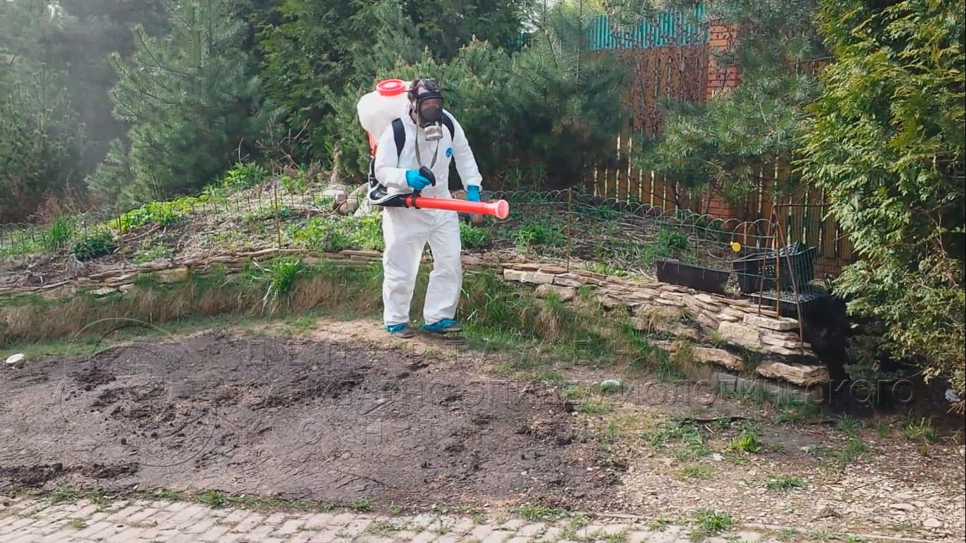 Уничтожение клещей на участке в Голицыно